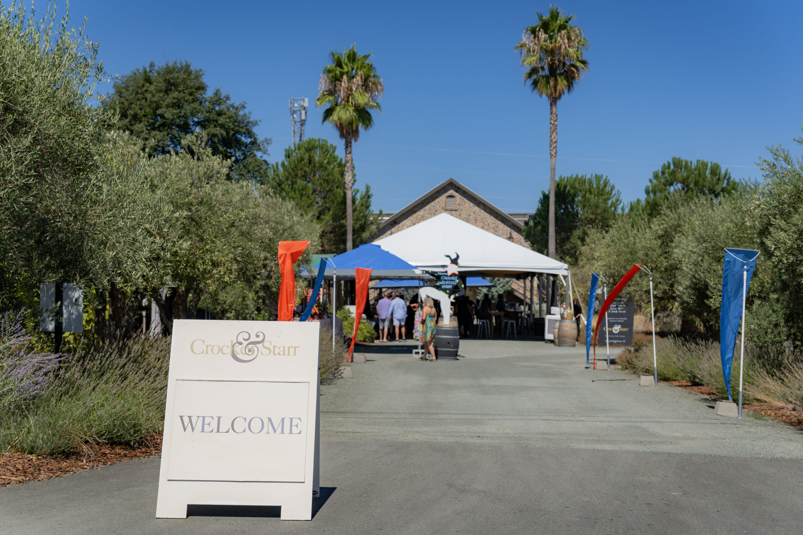 2024-C&S-Carnivus_Maximus-MMXXIV-I8V_001