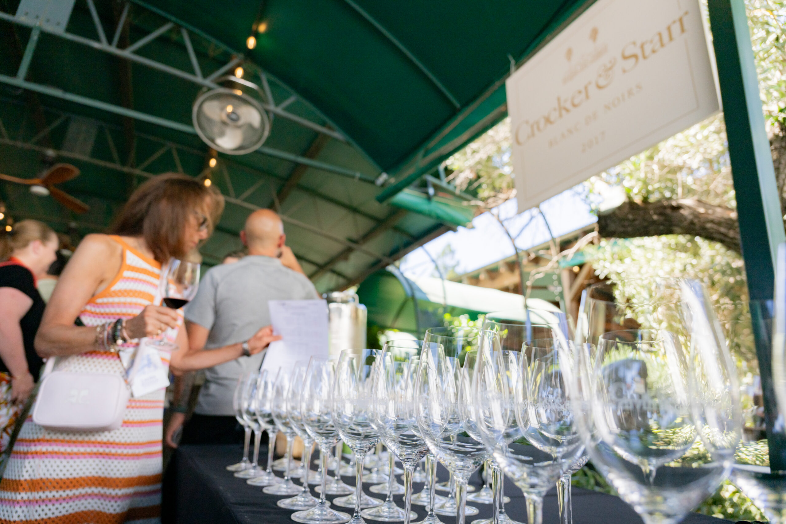 2024-C&S-Carnivus_Maximus-MMXXIV-I8V_244